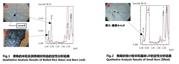 定性分析结果.png