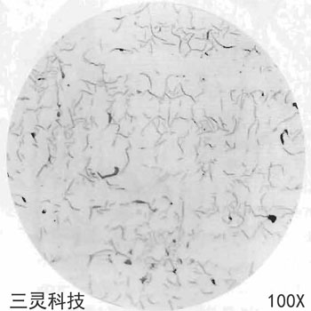 灰铸铁金相组织图谱