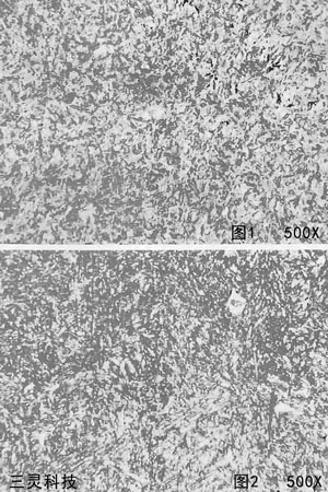 50钢金相分析